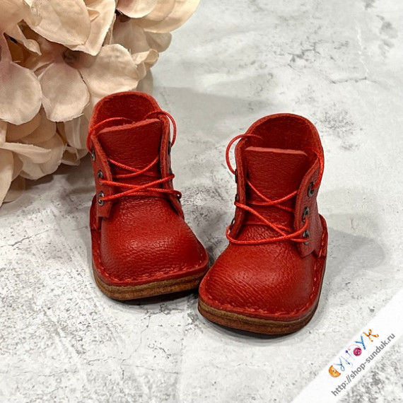 Ботинки на ножку 5см (Paola Reina) [840]