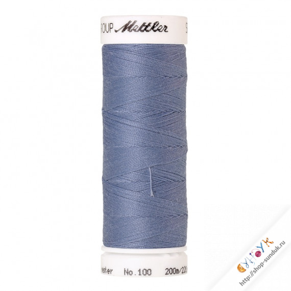 Нить универсальная SERALON 100 [1363 Blue Thistle]